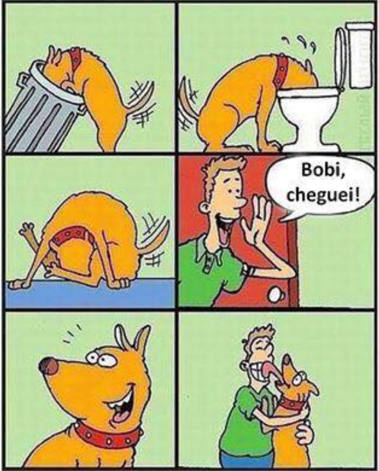 Nome: Bobi, cheguei!… (13/13)