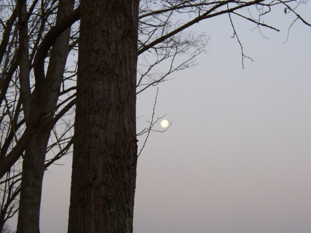  Photo de la Lune… (10/10)
